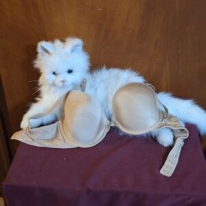 Elegant Tan Underwire Bra